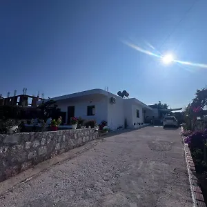 Teo Sarandë